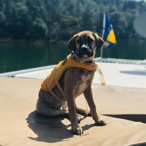 Meet your Posher, Dana